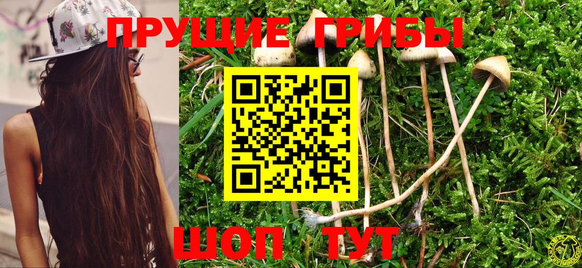 Псилоцибиновые грибы GOLDEN TEACHER Сызрань